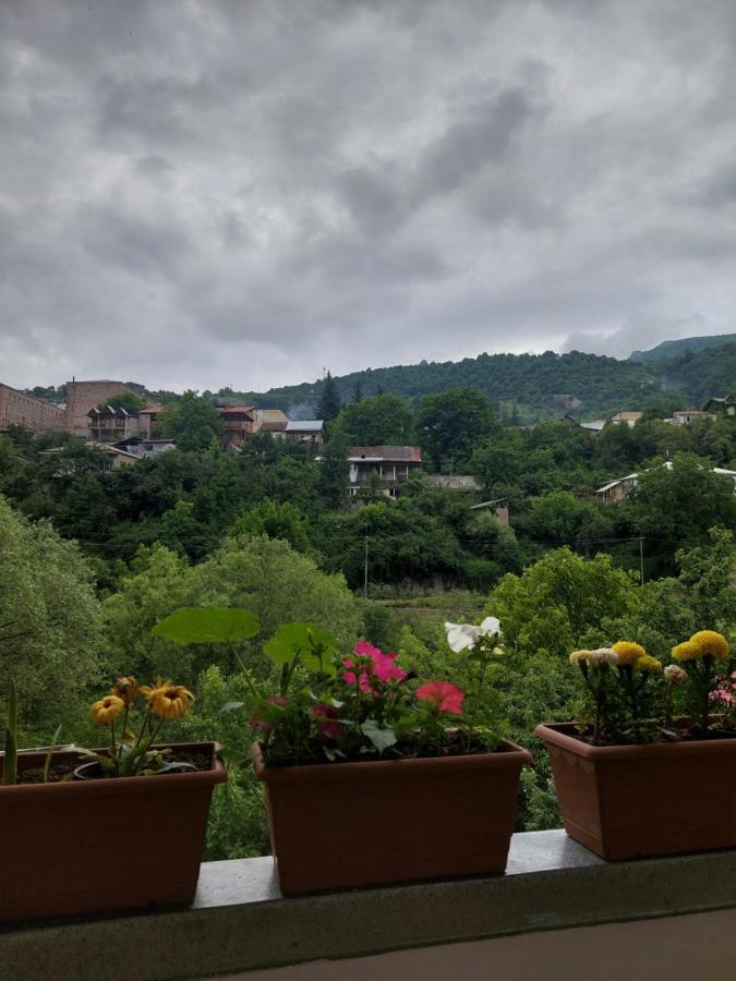 Arman Guest House Dilijan Eksteriør billede